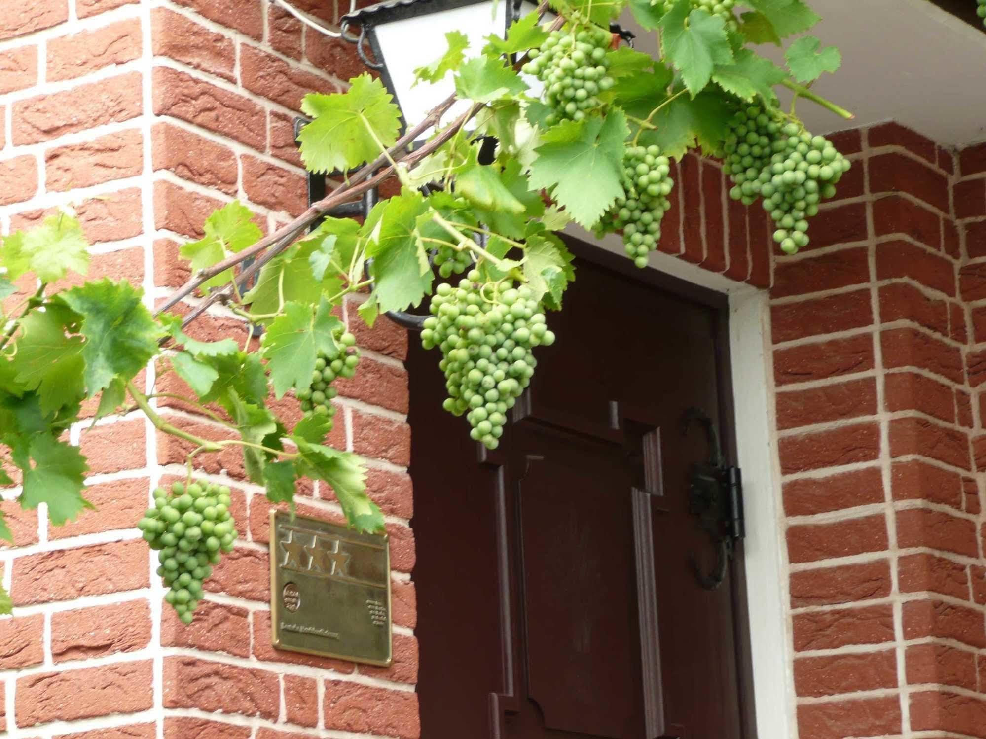 Landgasthaus Bonn Baunatal Zewnętrze zdjęcie